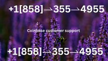 !!121//\\~【*Verified*】⋉अ[FULLGUIDE] Coinbase® WALLET© SuppORT℗ Phone Number
