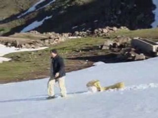 ÖZLÜCE KÖYÜNDE KAR 2008 MAYIS