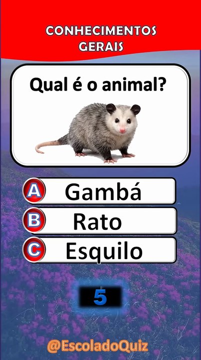 SÓ 1% CONSEGUE ACERTAR A ÚLTIMA! 😱 Você é um deles?