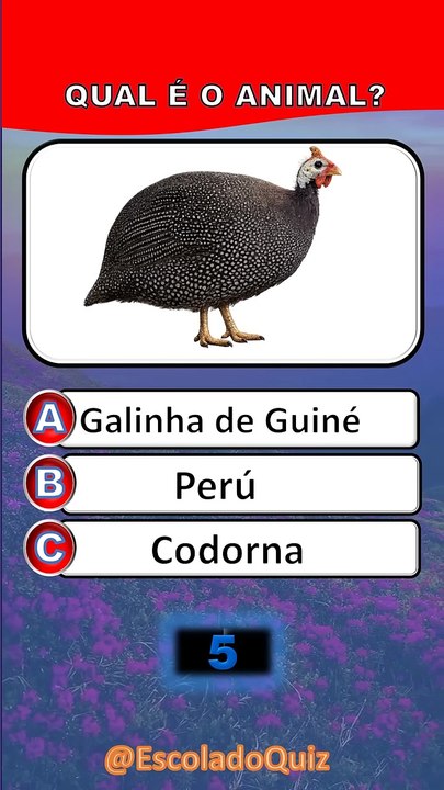 VERSÃO DIFÍCIL - QUIZ QUAL É O ANIMAL_ 😱