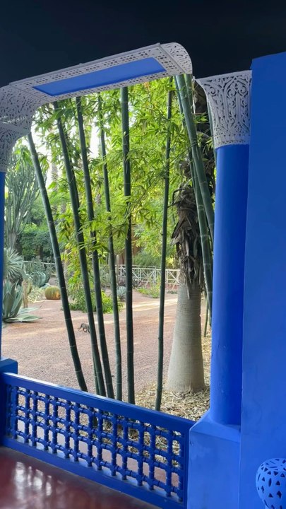 Jardin Majorelle in Marrakech 🌿💙Colors, plants, and pure serenity.A peaceful escape in the city ✨