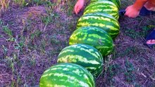 The most refreshing watermelon drink ever🍉🍉
