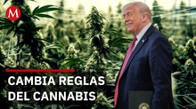 Trump reclasifica la mariguana como droga menos peligrosa en EU