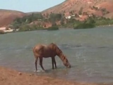Visite des monuments