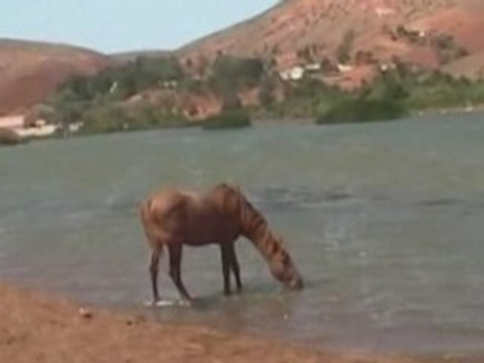 Visite des monuments