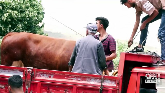Kurban satış yerlerinde randevu sistemi