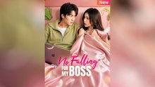 No Falling For My Boss
