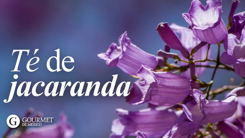 Té de jacaranda