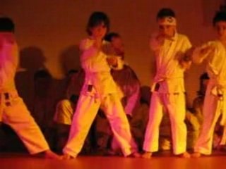 Gala de Karaté 2008