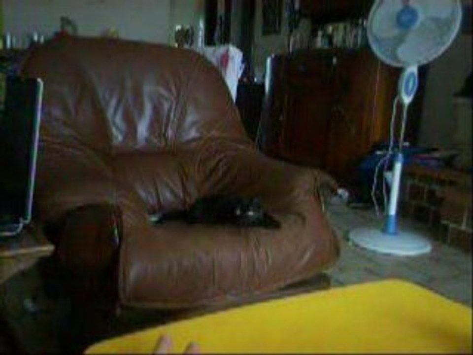 Louloute fauteuil