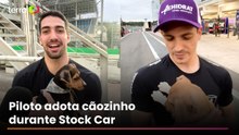 Pilotos adotam e dão nome a cãezinhos durante Stock Car em Interlagos