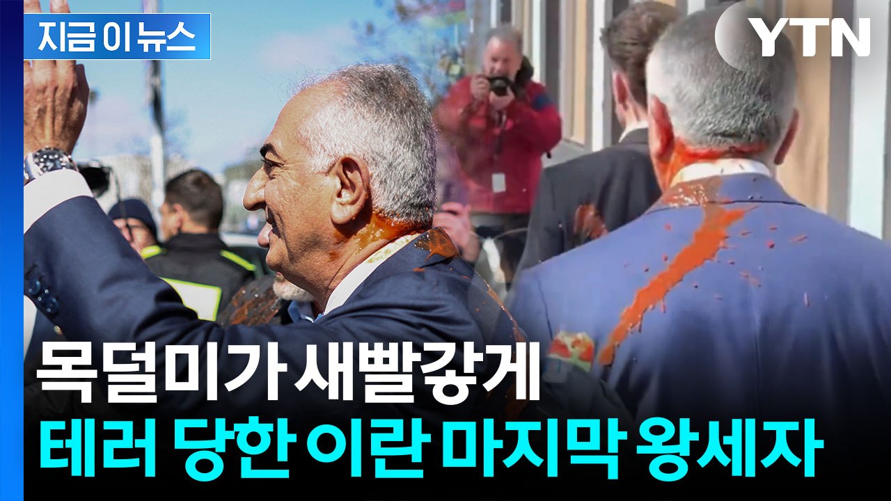 '망명 중' 이란 마지막 왕세자 향해 '퍽'...독일 방문서 봉변 [지금이뉴스]  / YTN