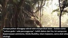 kenapa pohon di sakralkan di nusantara