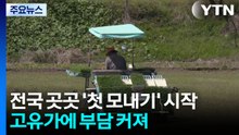 고유가 속 '첫 모내기'...깊어지는 농민 시름 / YTN