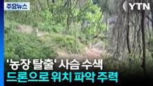 '농장 탈출' 사슴 7마리 일부 목격...수색 사흘째 / YTN