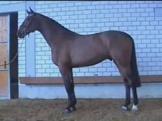 Etalon HOLST approuvé wmv