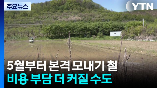 농기계 돌리기 무서워 고유가 속 '첫 모내기' / YTN