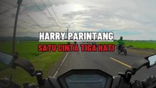 HARRY PARINTANG || SATU CINTA TIGA HATI