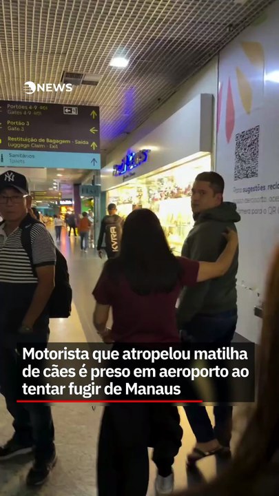 Motorista que atropelou matilha de cães é preso em aeroporto ao tentar fugir de Manaus