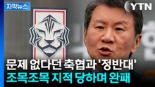 [자막뉴스] 클린스만도 홍명보도 "문제 있다"...소송에서 패소한 축구협회 / YTN