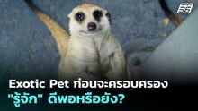Exotic Pet ก่อนจะครอบครอง "รู้จัก" ดีพอหรือยัง? | เที่ยงทันข่าว | 24 เม.ย. 69