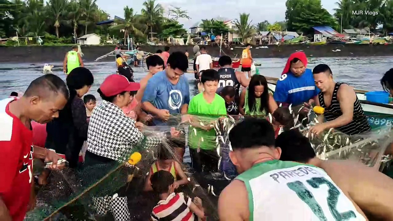 Morning Scene: Fishermen Sharing Their Catch At The Beach