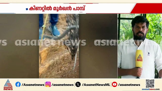 കൊടിയത്തൂരിൽ കിണറ്റിൽ നിന്നും മൂർഖൻ പാമ്പിനെ പിടികൂടി