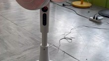 Mingletec high quality double head stand fan #mingletec #highquality #doublehead #standfan #360degree #rotation #remotecontrol #fans #newpeoducts #homeappliances #oscillating #led #foryou #fyp #tiktok