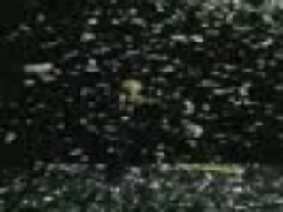 Canons a confettis