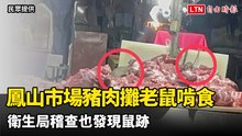 超噁！鳳山市場豬肉攤老鼠啃食 衛生局稽查也發現鼠跡
