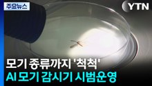 AI가 모기 종류까지 '척척'...실시간 감시 시대 열려 / YTN