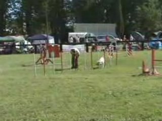 16. Jumping Bambou 8 juin 08