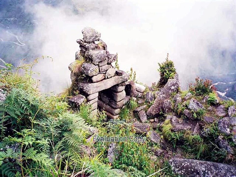 "Les Incas".
