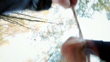 Wordless Forest - Teaser Trailer