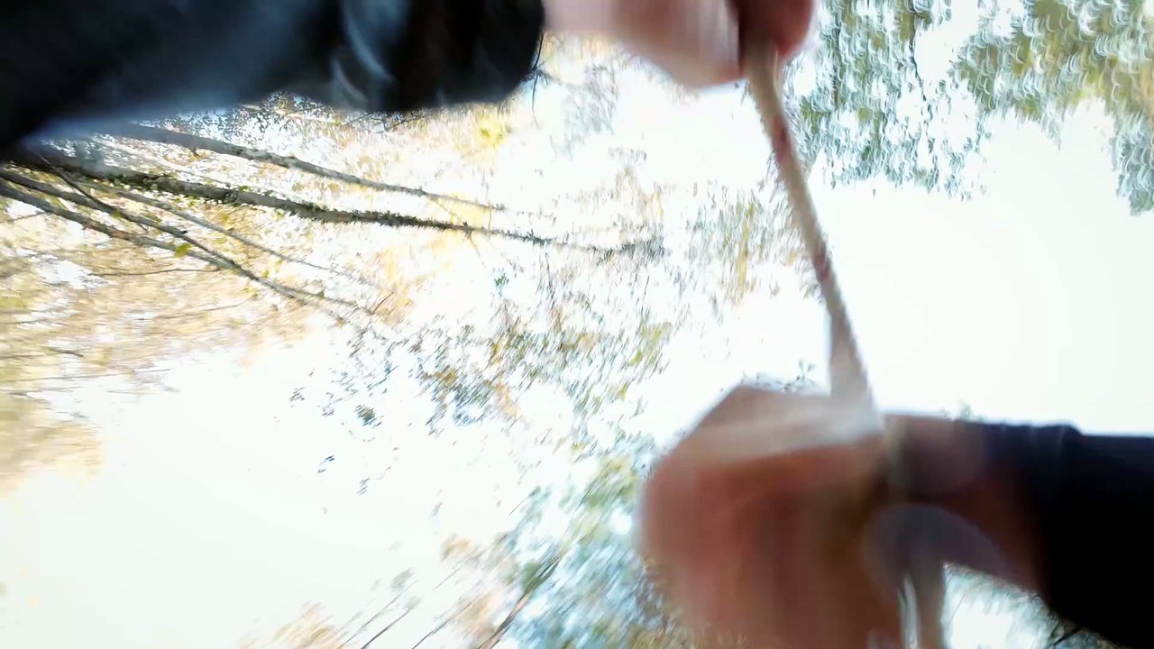 Wordless Forest - Teaser Trailer