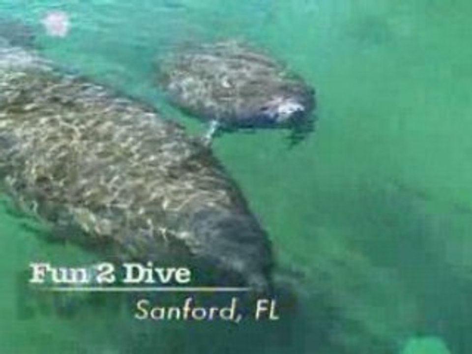 Fun 2 Dive (Manatee Tours) Teaser Eco Weekends Florida ...