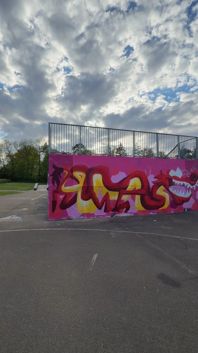 Je continue ma fresque street art maintenant que j’ai un escabeau !