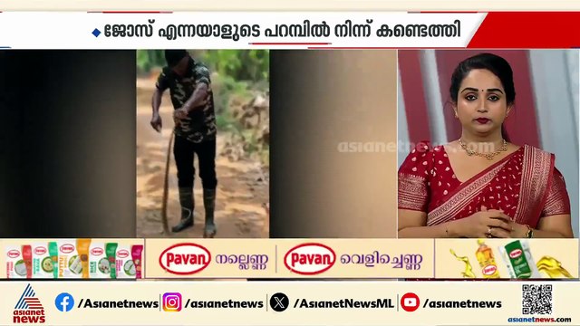 പെരുമ്പാവൂര്‍ കുഴൂരില്‍ മൂര്‍ഖന്‍ പാമ്പിനെ പിടികൂടി, ഒപ്പം ഇരുപതോളം മുട്ടകളും കണ്ടെത്തി