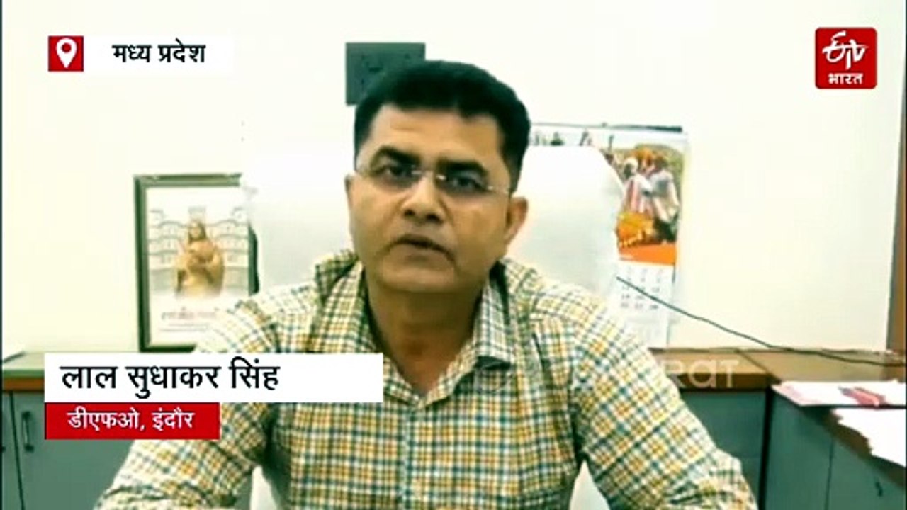 वाइल्ड लाइफ सेंचुरी में बनेगा ईको पार्क, पारंपरिक मालवी भोजन के साथ जंगल सफारी का आनंद लेंगे सैलानी