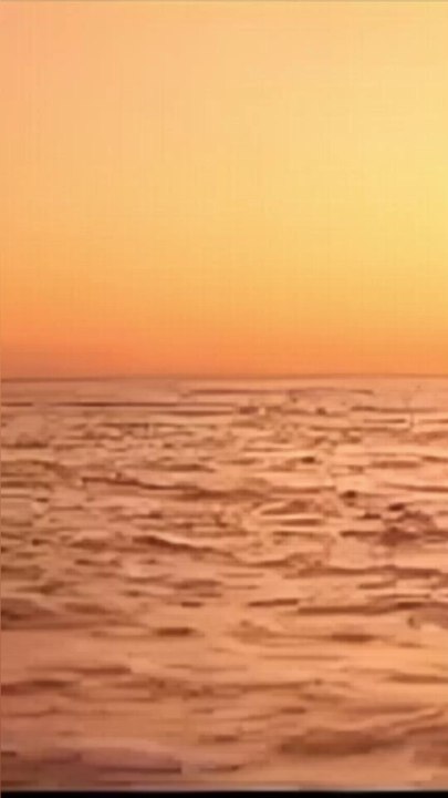 Sei Andata via Alina - E chi se ne fraga! Sapore di Mare 2 Finale