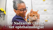 Meet your friendly neighbourhood vet ophthalmologist