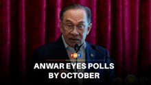 Anwar eyes polls by October as fuel subsidy cut looms