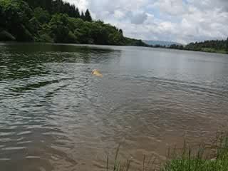 Vdeo lac cavaihéres