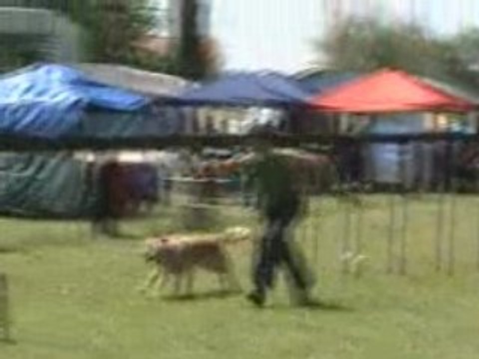 17. Gpf Peps' 8 juin 2008