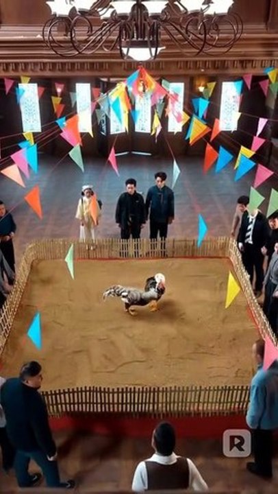 [Doblado ESP] La venganza del gallo