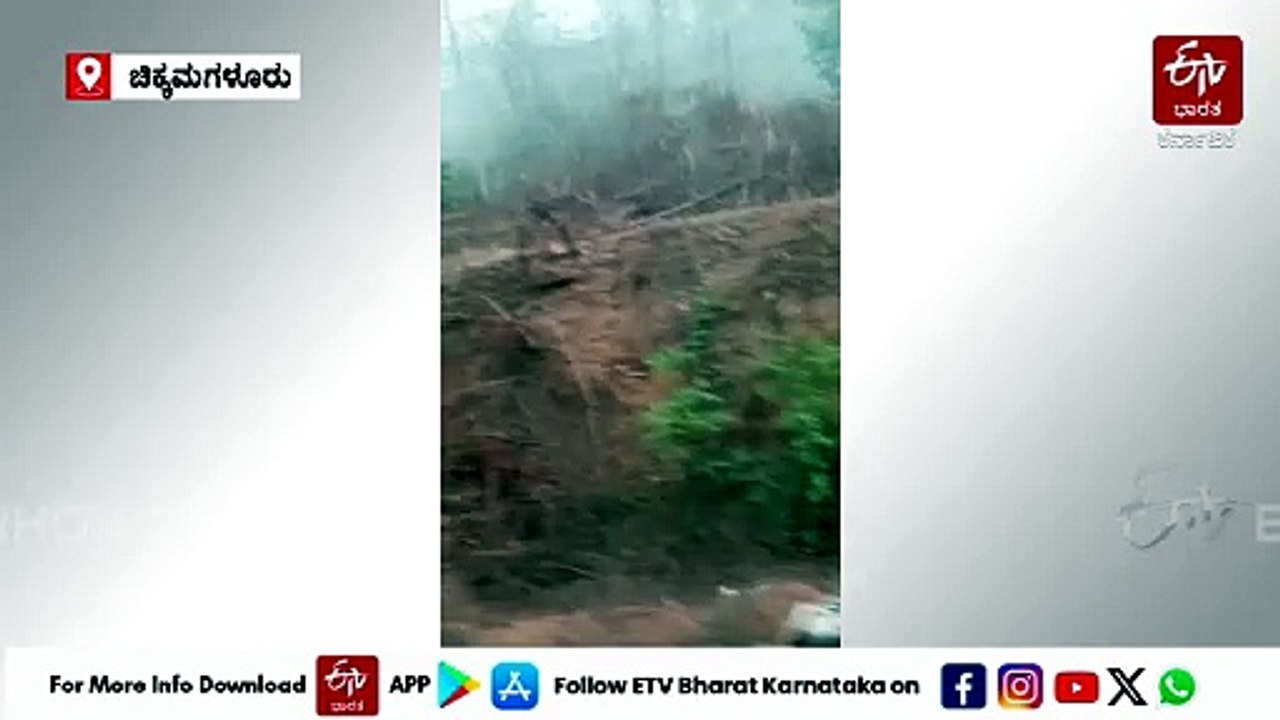 ಚಿಕ್ಕಮಗಳೂರು: ಕಾಡಾನೆ ದಾಳಿ, ಇಬ್ಬರು ಅರಣ್ಯ ಇಲಾಖೆ ಸಿಬ್ಬಂದಿಗೆ ಗಾಯ