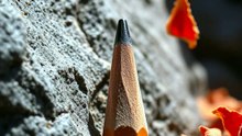 Survived With Just A Pencil