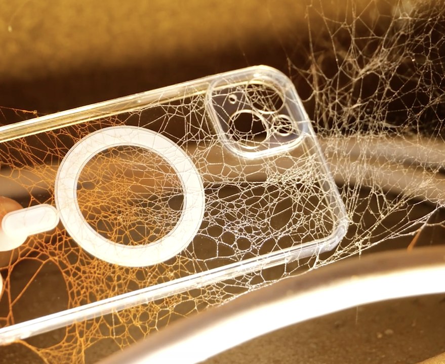 Unique Web Phone Case 🕸️📱