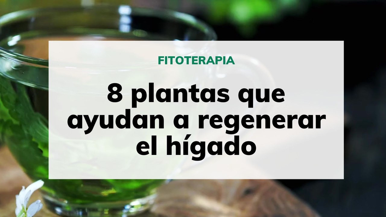 8 plantas que ayudan a regenerar el hígado