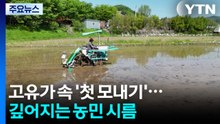 고유가 속 '첫 모내기'...깊어지는 농민 시름 / YTN